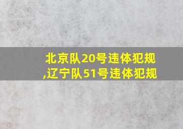 北京队20号违体犯规,辽宁队51号违体犯规