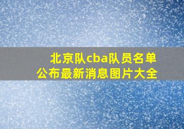 北京队cba队员名单公布最新消息图片大全