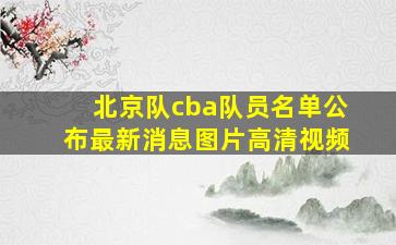 北京队cba队员名单公布最新消息图片高清视频