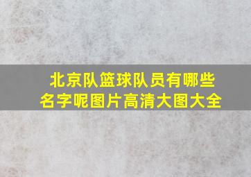 北京队篮球队员有哪些名字呢图片高清大图大全