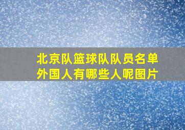 北京队篮球队队员名单外国人有哪些人呢图片