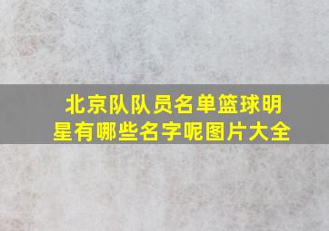 北京队队员名单篮球明星有哪些名字呢图片大全