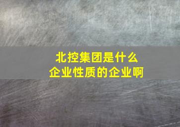 北控集团是什么企业性质的企业啊