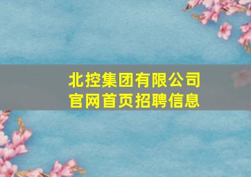 北控集团有限公司官网首页招聘信息