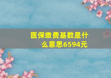 医保缴费基数是什么意思6594元