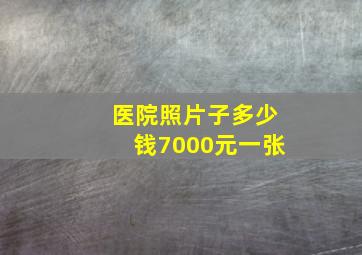 医院照片子多少钱7000元一张