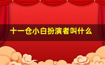 十一仓小白扮演者叫什么