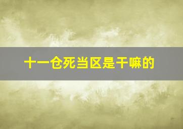 十一仓死当区是干嘛的