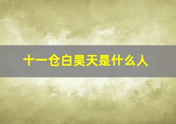 十一仓白昊天是什么人