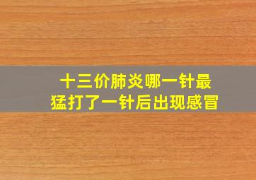 十三价肺炎哪一针最猛打了一针后出现感冒