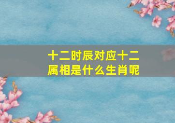 十二时辰对应十二属相是什么生肖呢