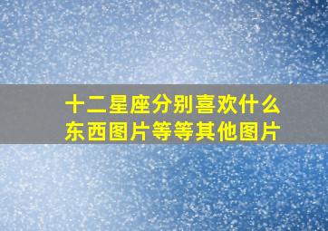 十二星座分别喜欢什么东西图片等等其他图片