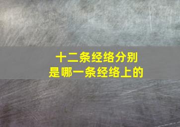 十二条经络分别是哪一条经络上的