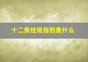 十二条经络指的是什么