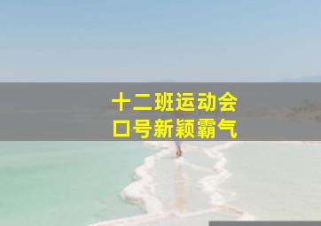 十二班运动会口号新颖霸气