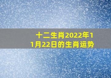 十二生肖2022年11月22日的生肖运势