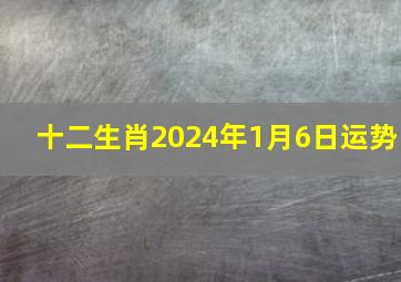 十二生肖2024年1月6日运势