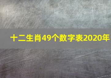 十二生肖49个数字表2020年