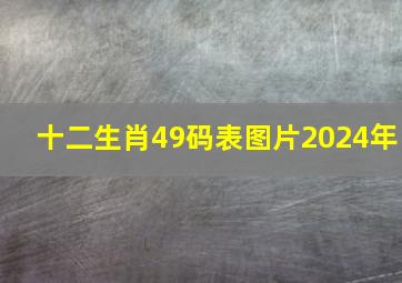 十二生肖49码表图片2024年