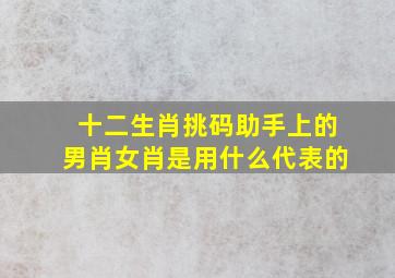 十二生肖挑码助手上的男肖女肖是用什么代表的