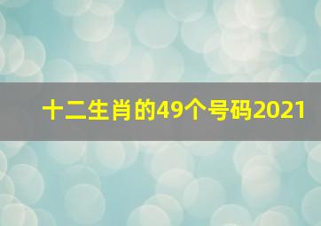 十二生肖的49个号码2021