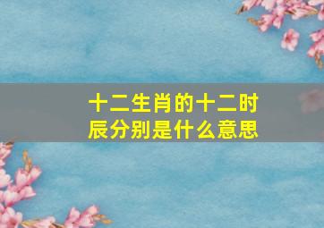 十二生肖的十二时辰分别是什么意思