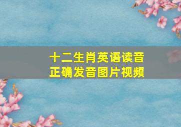 十二生肖英语读音正确发音图片视频