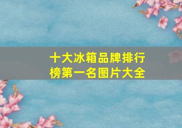 十大冰箱品牌排行榜第一名图片大全