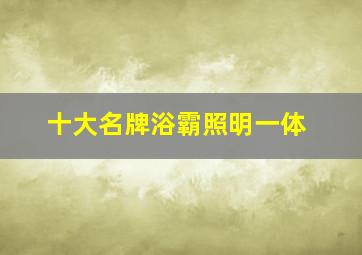 十大名牌浴霸照明一体