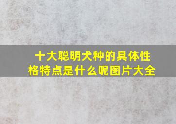 十大聪明犬种的具体性格特点是什么呢图片大全