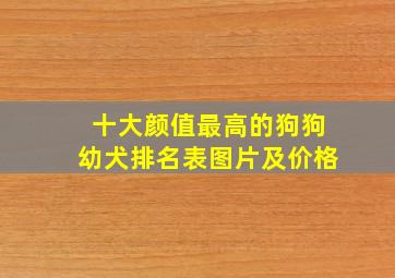 十大颜值最高的狗狗幼犬排名表图片及价格