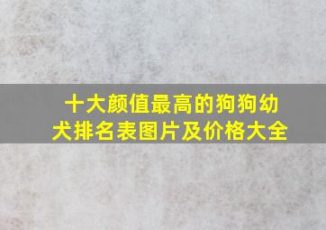 十大颜值最高的狗狗幼犬排名表图片及价格大全