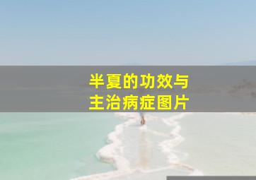 半夏的功效与主治病症图片