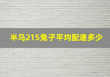 半马215兔子平均配速多少