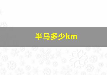 半马多少km