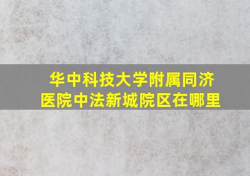 华中科技大学附属同济医院中法新城院区在哪里