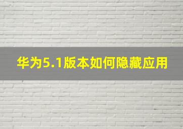 华为5.1版本如何隐藏应用