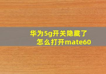 华为5g开关隐藏了怎么打开mate60