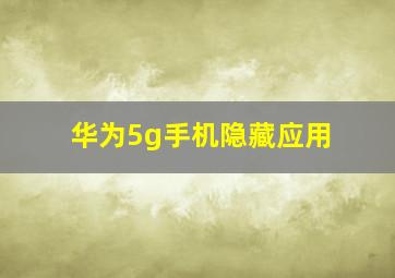 华为5g手机隐藏应用