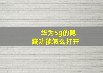 华为5g的隐藏功能怎么打开