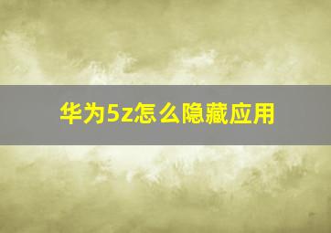 华为5z怎么隐藏应用