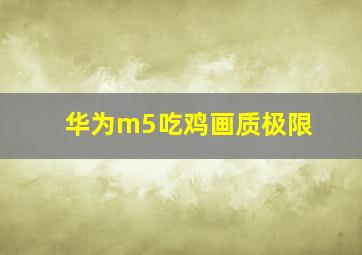 华为m5吃鸡画质极限