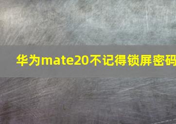 华为mate20不记得锁屏密码