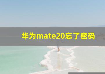 华为mate20忘了密码