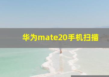 华为mate20手机扫描