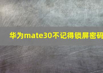 华为mate30不记得锁屏密码