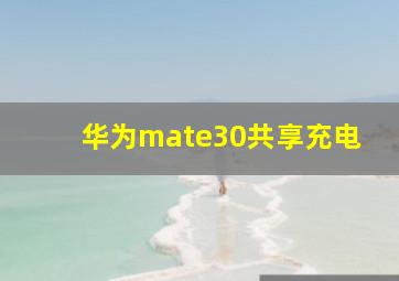 华为mate30共享充电