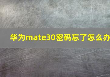 华为mate30密码忘了怎么办