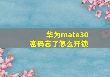 华为mate30密码忘了怎么开锁