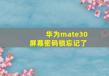 华为mate30屏幕密码锁忘记了